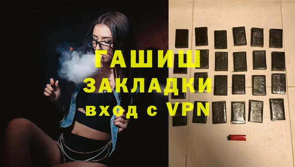 хмурый Алексин