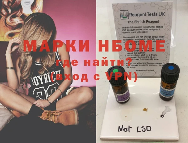 хмурый Алексин