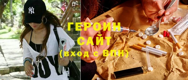 хмурый Алексин
