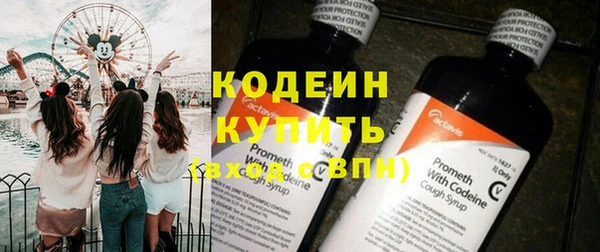 хмурый Алексин