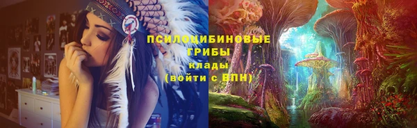 хмурый Алексин